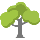 Westerville Tree Removal