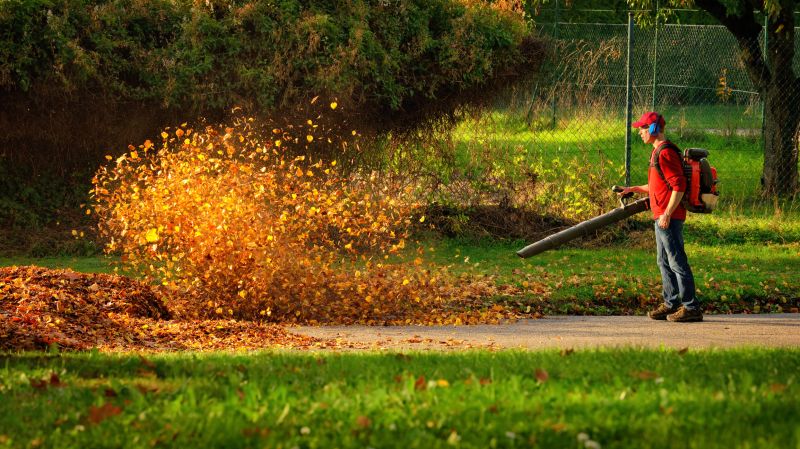 Leaf Blowing Service